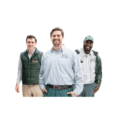 Local pest control technician